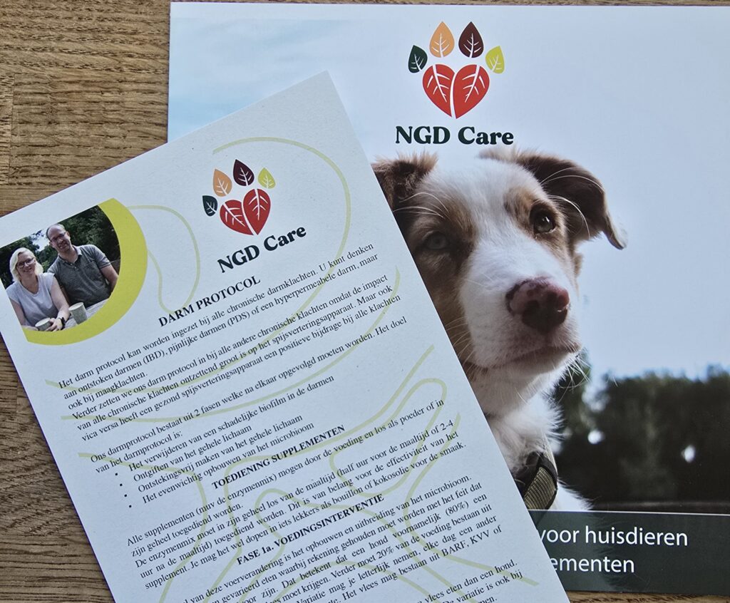 folder en flyers NGD care