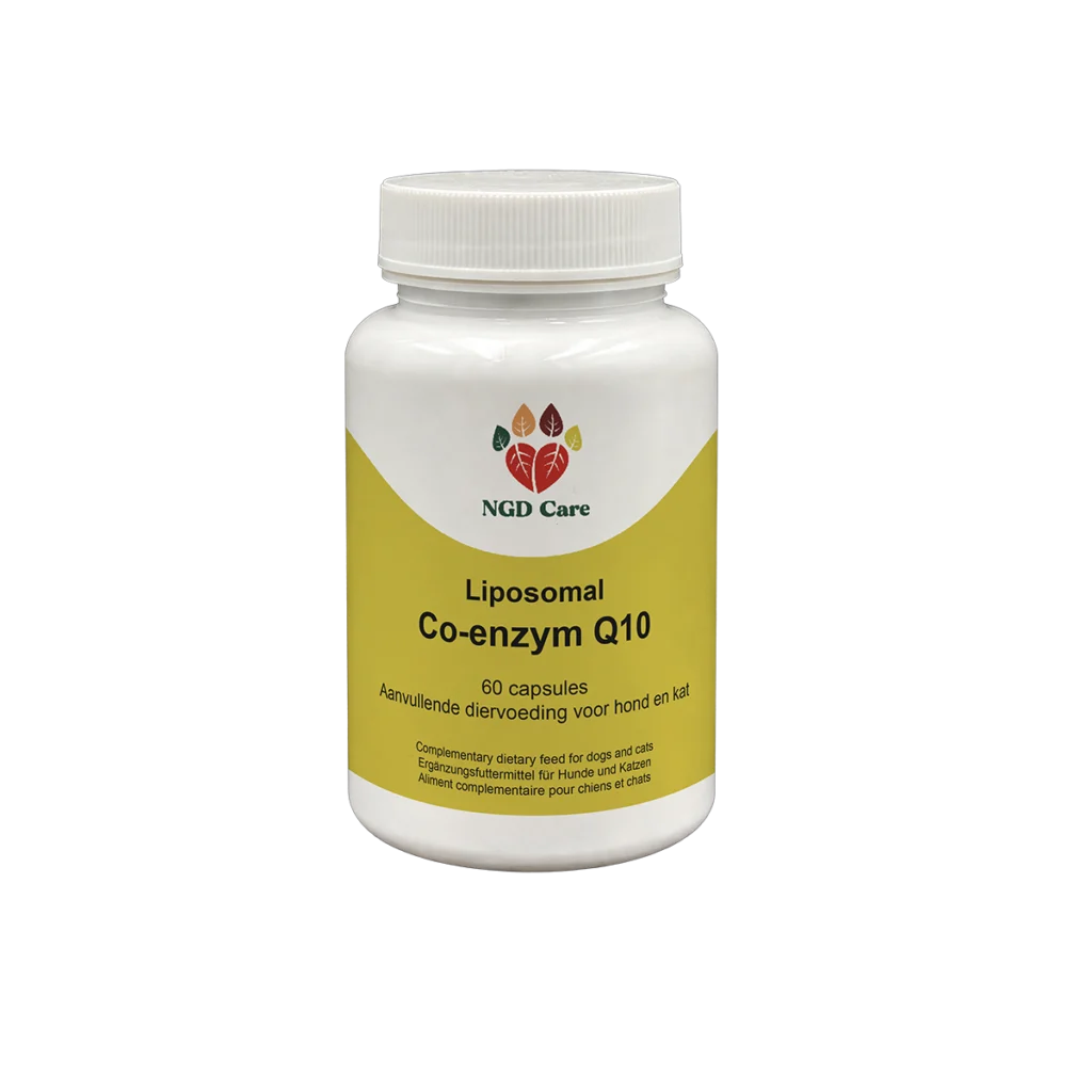 co-enzymQ10