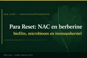 Para Reset: NAC en berberine tegen biofilm bij hond en kat