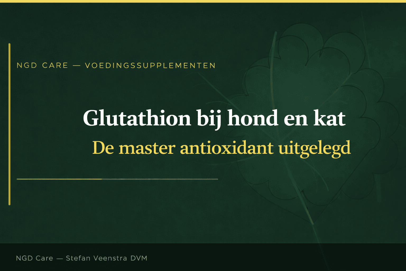 Glutathione in dogs and cats | The Master Antioxidant Explained