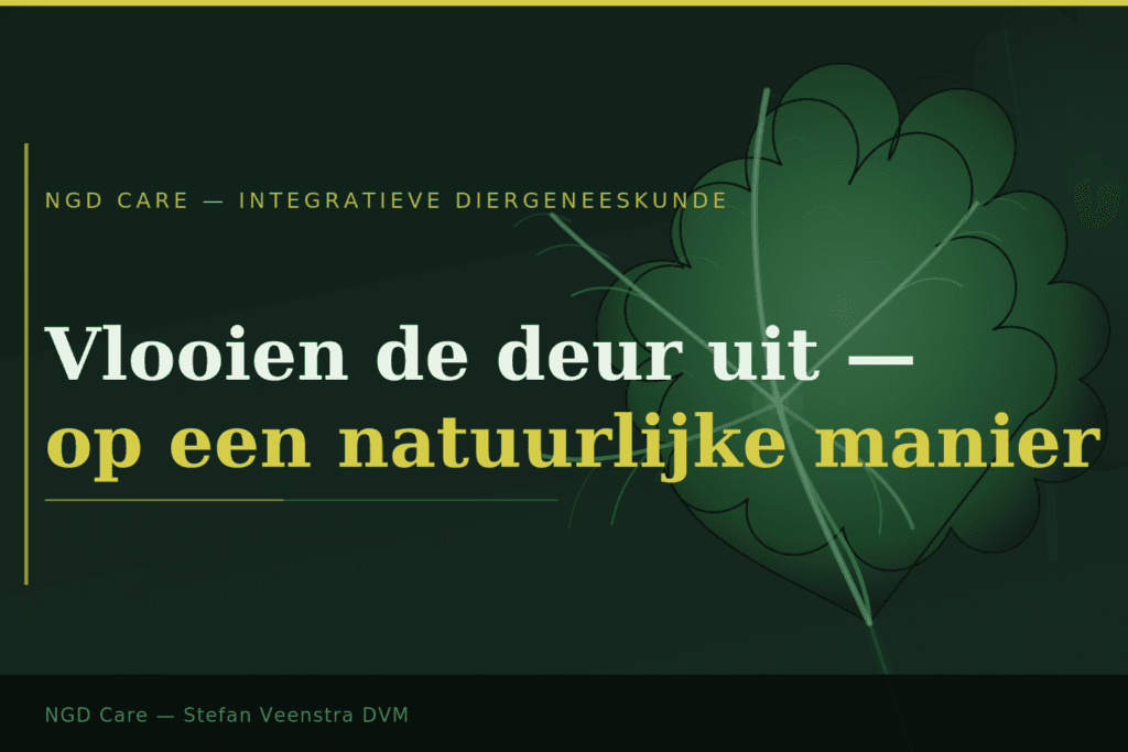 Vlooien de deur uit op een natuurlijke manier. Stefan Veenstra DVM