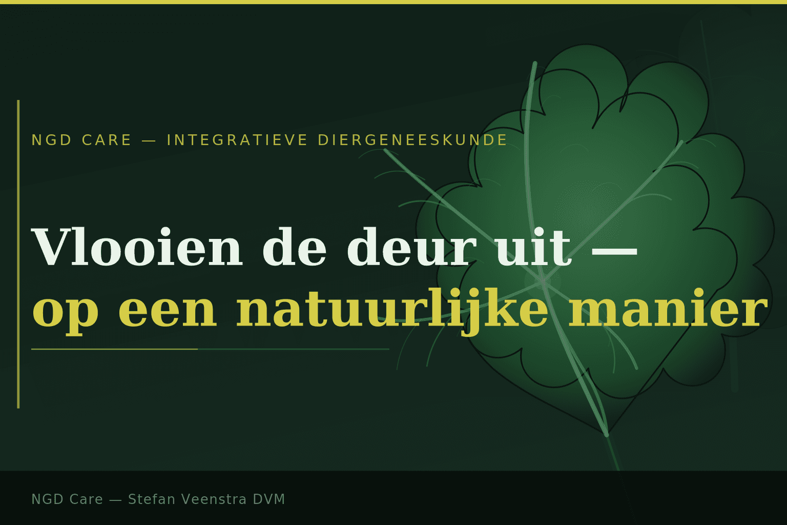 Vlooien de deur uit op een natuurlijke manier. Stefan Veenstra DVM