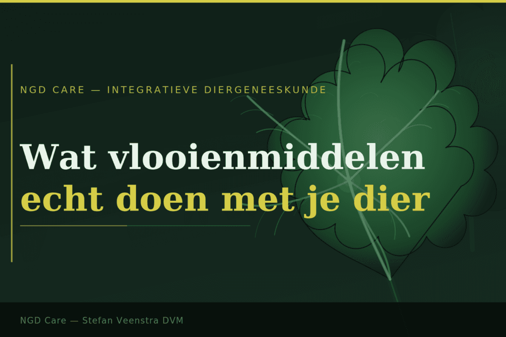 Wat vlooienmiddelen echt doen met je dier. Stefan Veenstra DVM