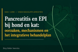 pancreatitis hond kat oorzaken behandeling