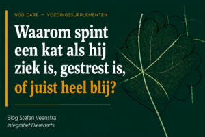 Waarom spint een kat als hij ziek is, gestrest is, of juist heel blij?