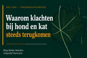 Waarom klachten bij hond en kat steeds terugkomen