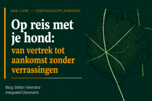 op reis met je hond
