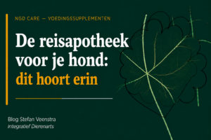 De reisapotheek voor je hond: dit hoort erin