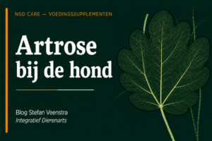 Artrose bij de hond