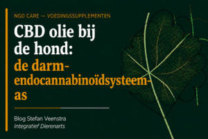 cbd olie bij de hond: de darm-endocannabinoidsysteem-as