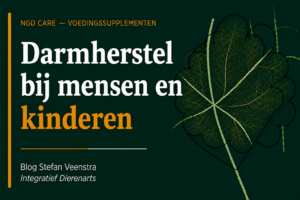 Darmherstel bij mensen en kinderen
