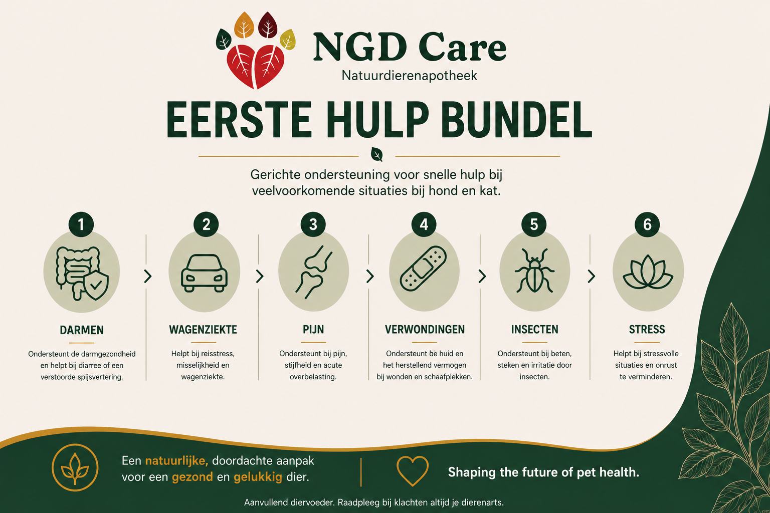 First Aid Bundle for Dog and Cat