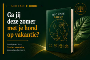 E-book ga jij deze zomer met je hond op vakantie?