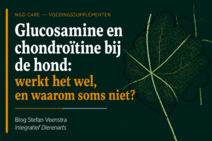 glucosamine en chondroitine bij de hond
