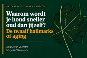 waarom wordt je hond sneller oud dan jijzelf? De twaalf hallmarks of aging