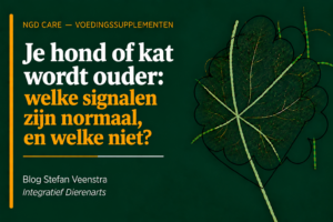 je hond of kat wordt ouder: welke signalen zijn normaal en welke niet?