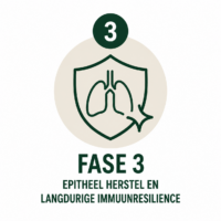 long support traject fase 3