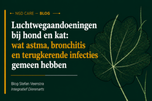 luchtwegaandoeningen bij hond en kat. Wat astma, bronchitis en terugkerende infecties gemeen hebben.