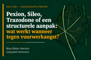 pexion, silo, trazodone of een structurele aanpak: Wat werkt wanneer tegen vuurwerkangst?