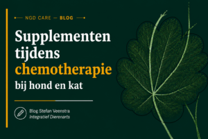 supplementen tijdens chemokuur bij hond en kat, welke interacties moet je kennen