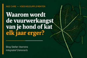 Waarom wordt de vuurwerkangst van je hond of kat elk jaar erger?