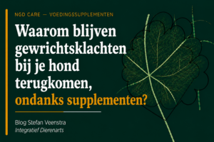 waarom blijven gewrichtsklachten bij je hond terugkomen