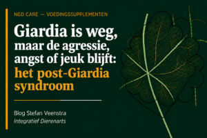 Giardia is weg, maar de agressie, angst of jeuk blijft: Het post-giardia syndroom