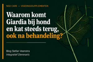 waarom komt giardia bij hond en kat steeds terug, ook na behandeling?