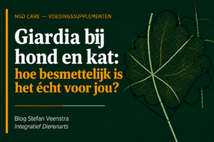 giardia bij hond en kat. hoe besmettelijk is het echt voor jou?
