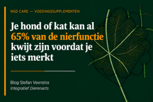 je hond of kat kan al 65% van de nierfunctie kwijt zijn voordat je iets merkt