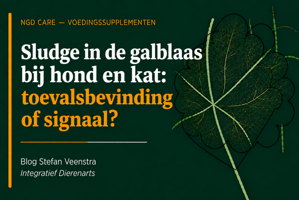 Sludge in de galblaas bij hond en kat: toevalsbevinding of signaal?