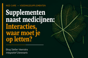 Supplementen naast medicijnen: interacties, waar moet je op letten?