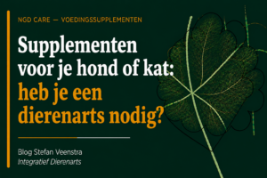 Supplementen voor je hond of kat, heb je een dierenarts nodig?