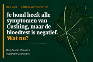 je hond heeft alle symptomen van Cushing, maar de bloedtest is negatief