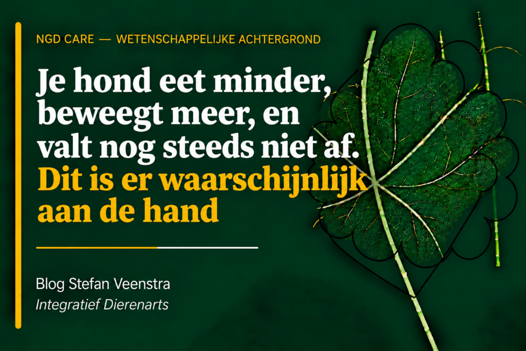 je hond eet minder, beweegt meer en valt nog steeds niet af. Dit is er waarschijnlijk aan de hand.