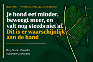 je hond eet minder, beweegt meer en valt nog steeds niet af. Dit is er waarschijnlijk aan de hand.