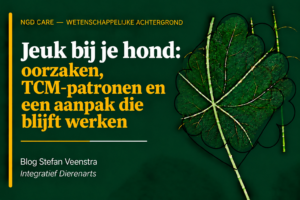Jeuk bij je hond: oorzaken, TCM patronen en een aanpak die blijft werken.