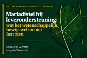 mariadistel bij leverondersteuning: wat het wetenschappelijk bewijs wel en niet laat zien
