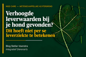 verhoogde leverwaarden bij je hond gevonden? dit hoeft niet per se leverziekte te betekenen